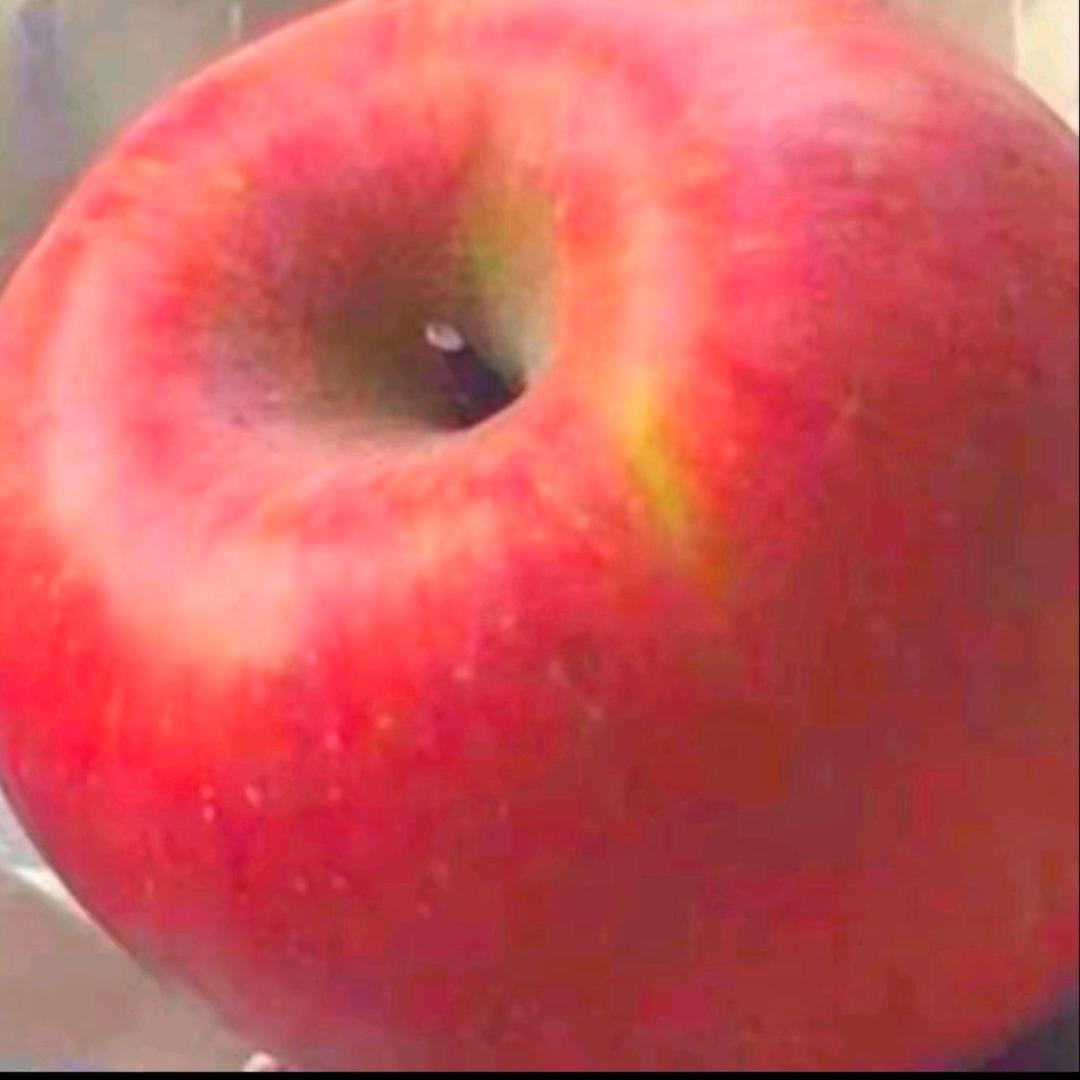 艾什（←读神）