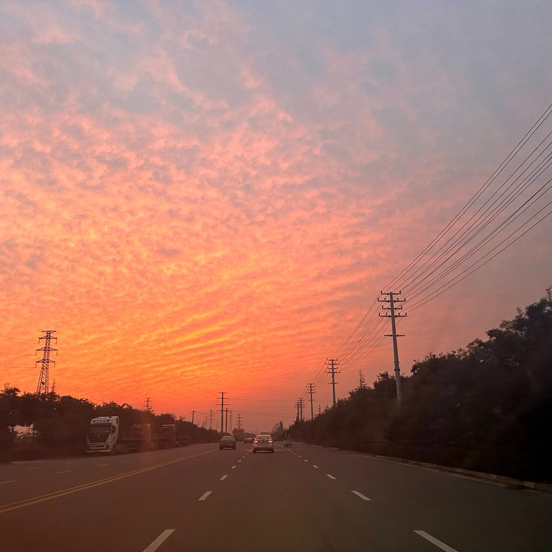 夜莂虎