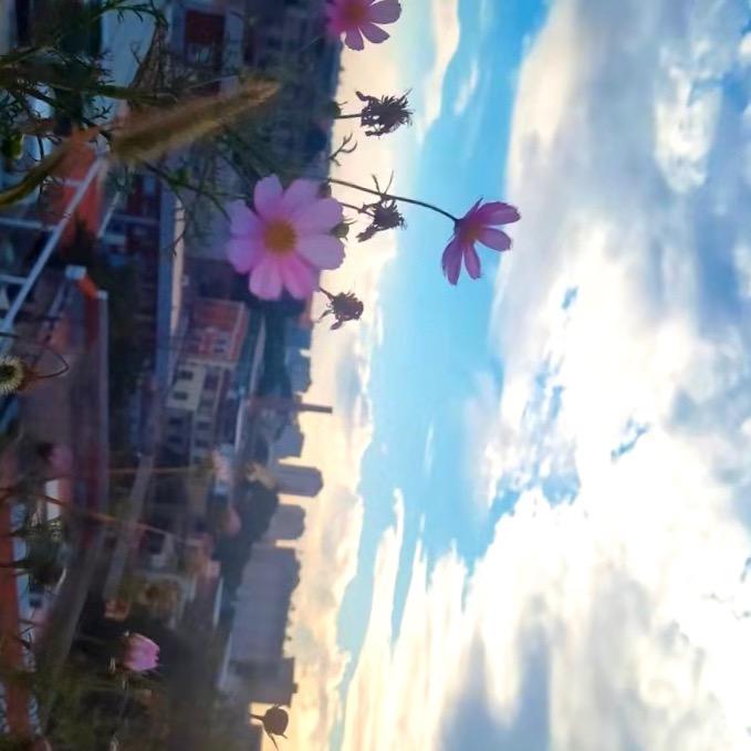 咱这地瓜腔