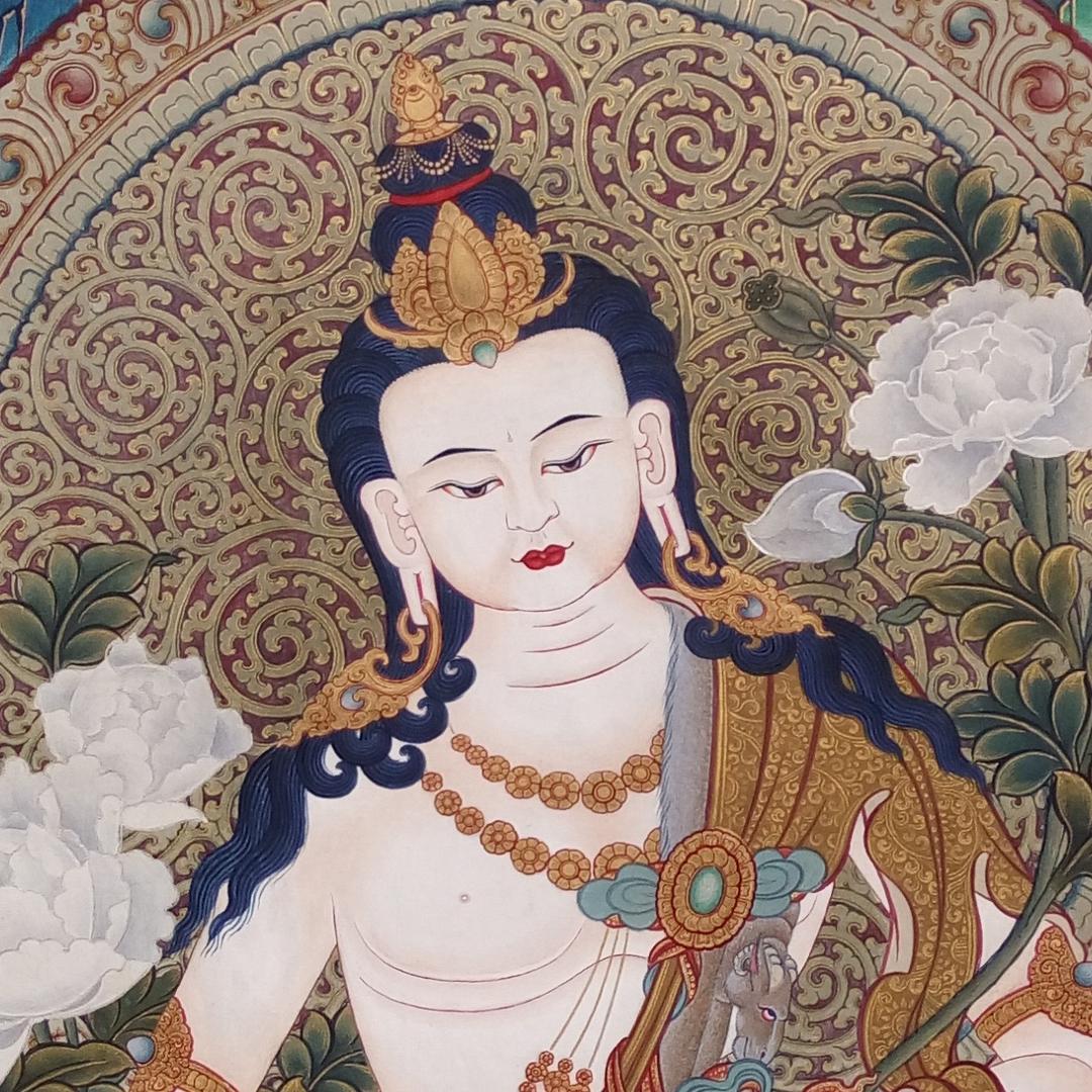 柔扎•尕藏🧑🏼‍🎨