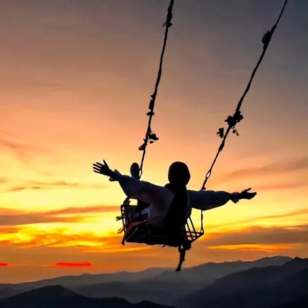 仙人掌在逃刺刺🌵