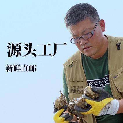 生蚝小镇生鲜旗舰店