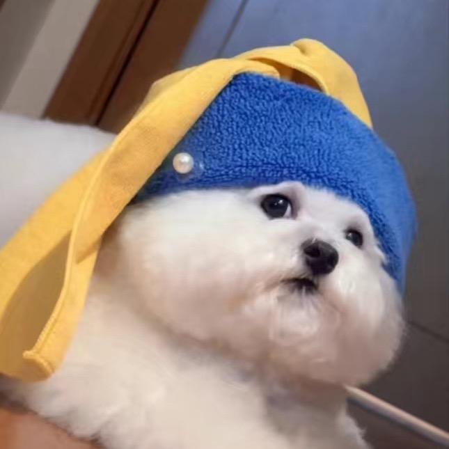 贝贝努力中