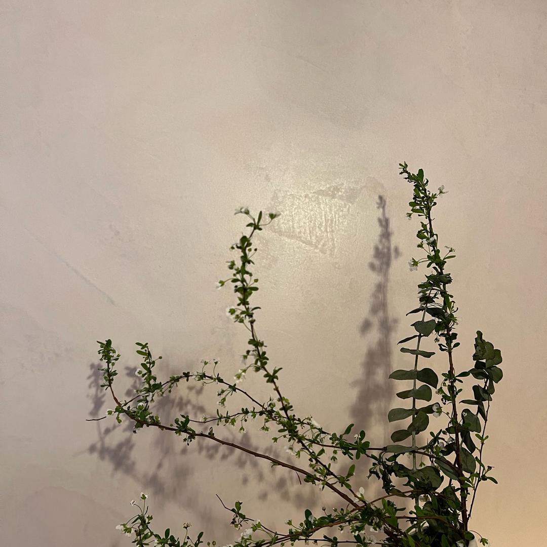 温州第一女神👸在摆摊卖蛋包里脊