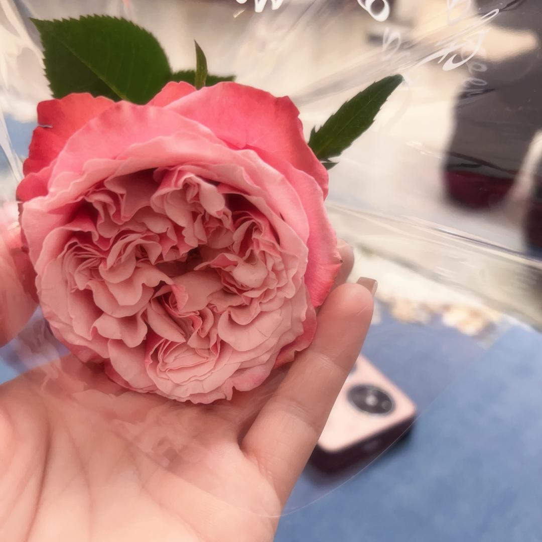 月落