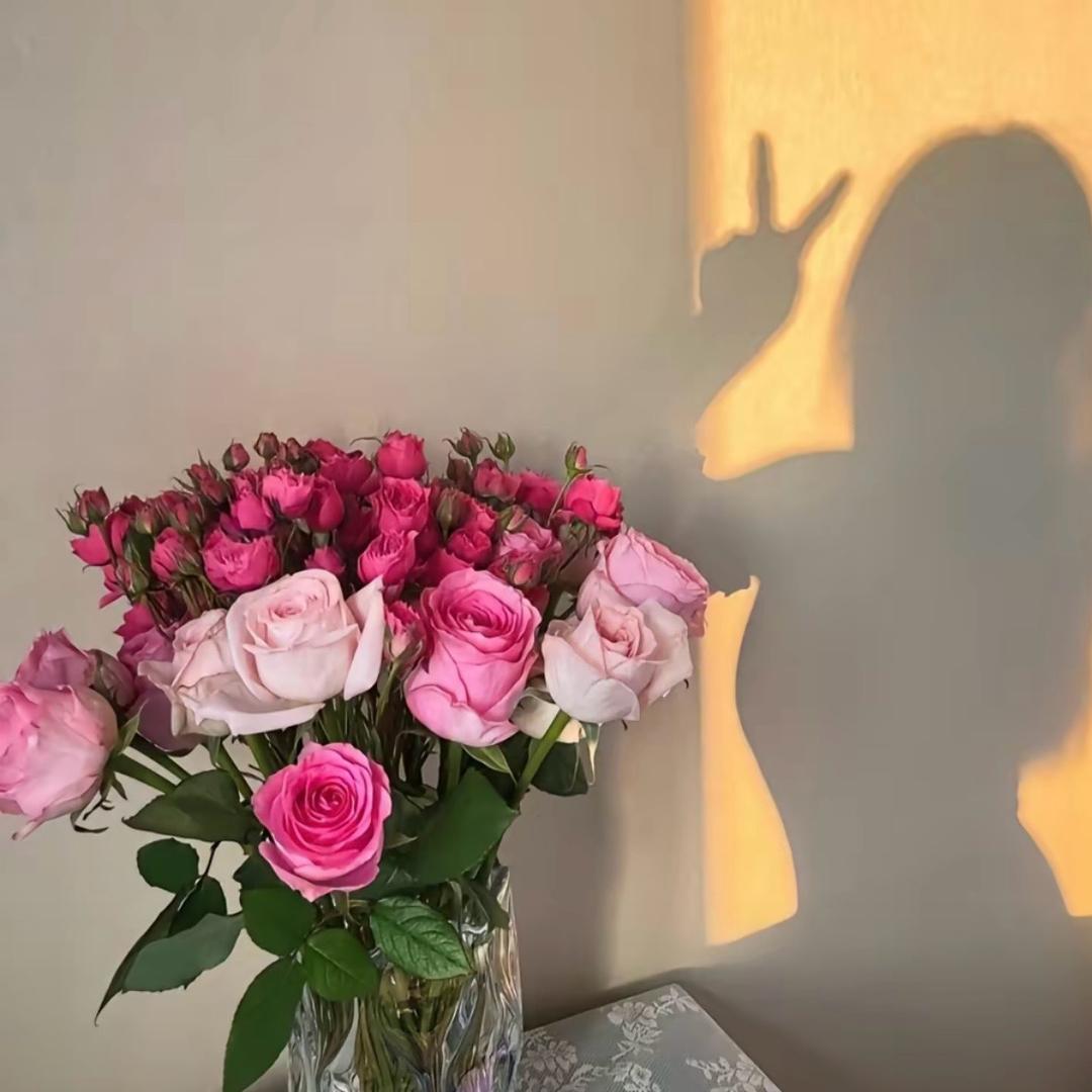 做自己，使劲作…………