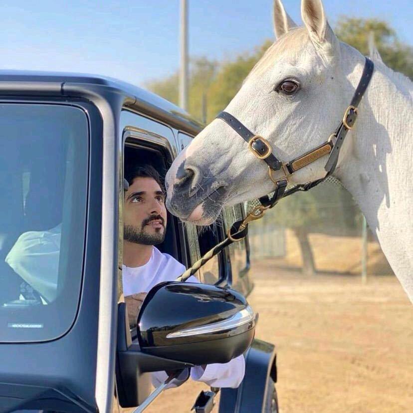 ༄ ཧྭོར་____贡先森🎗