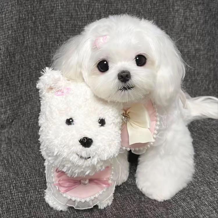 Ninee_