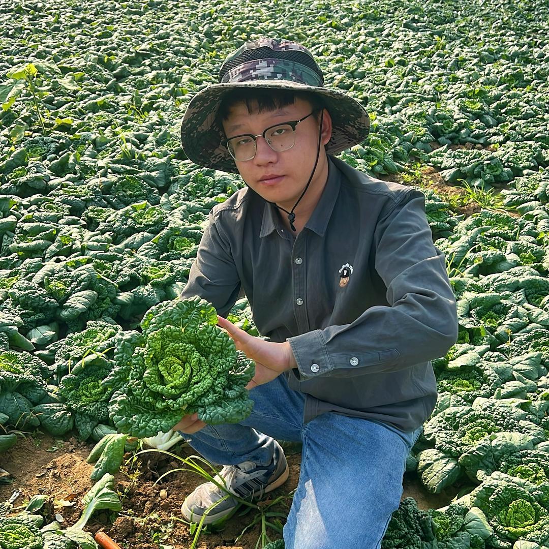 菜园子