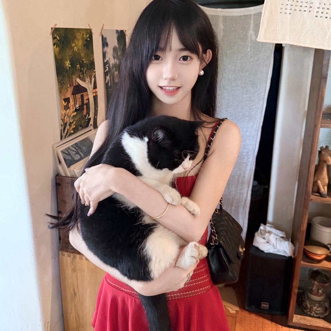 犟犟喵