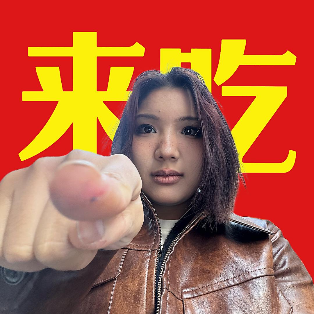 南瑞两室一厅的日记