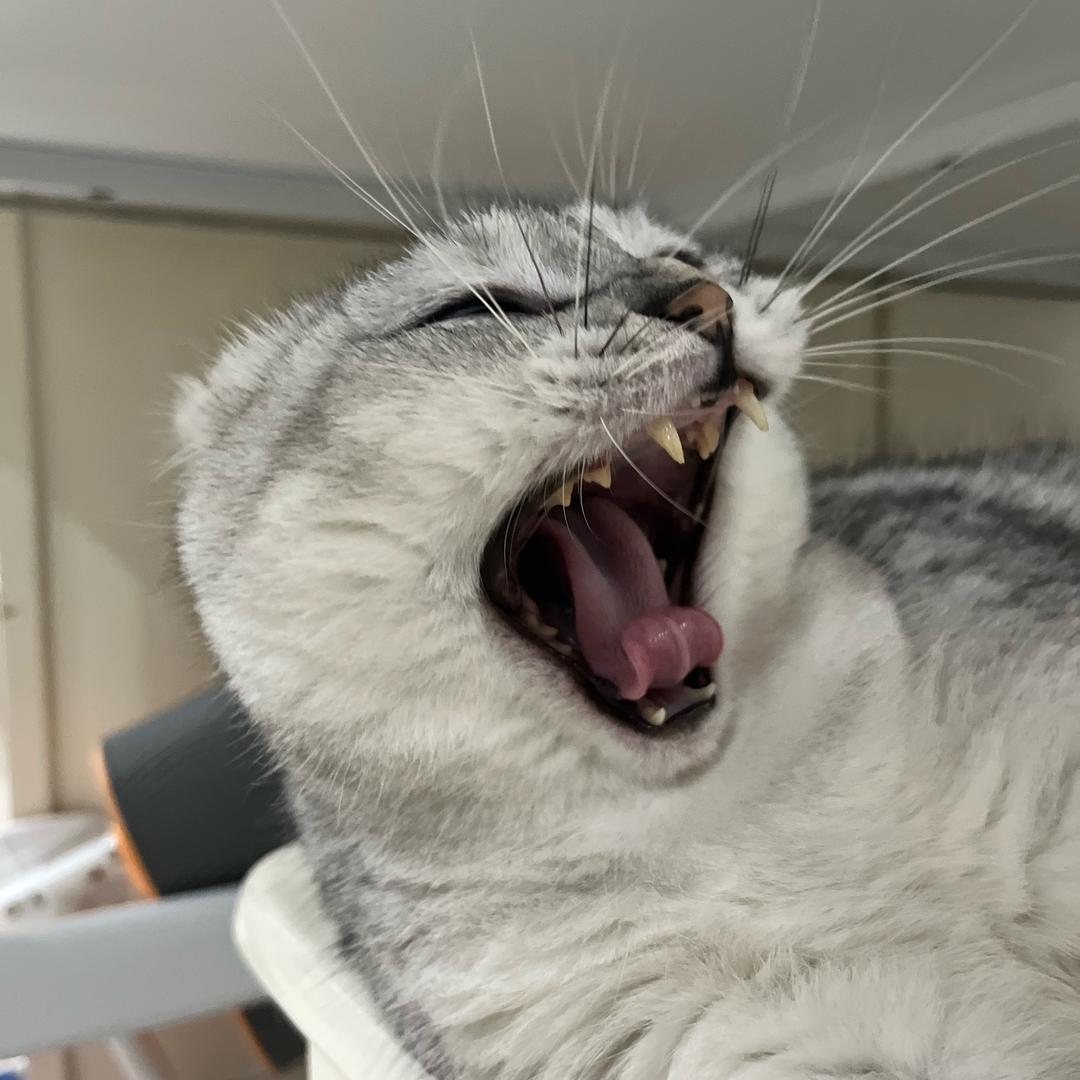 晚秋