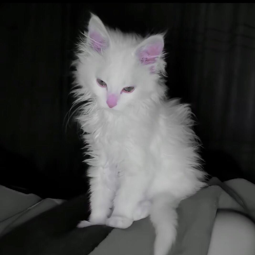 爱小玥真是太好了.