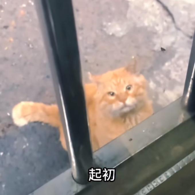 盛
