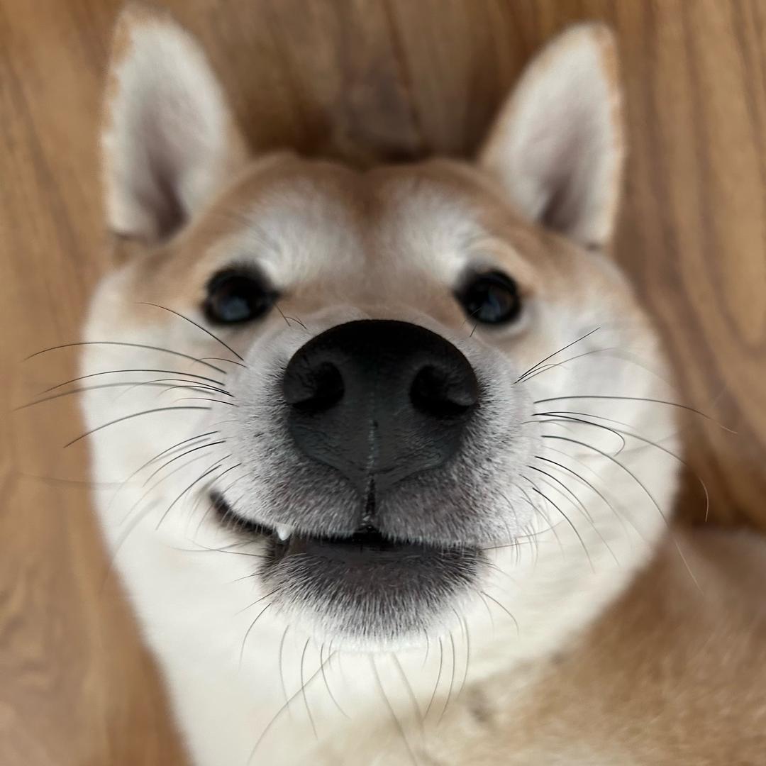 ^_^