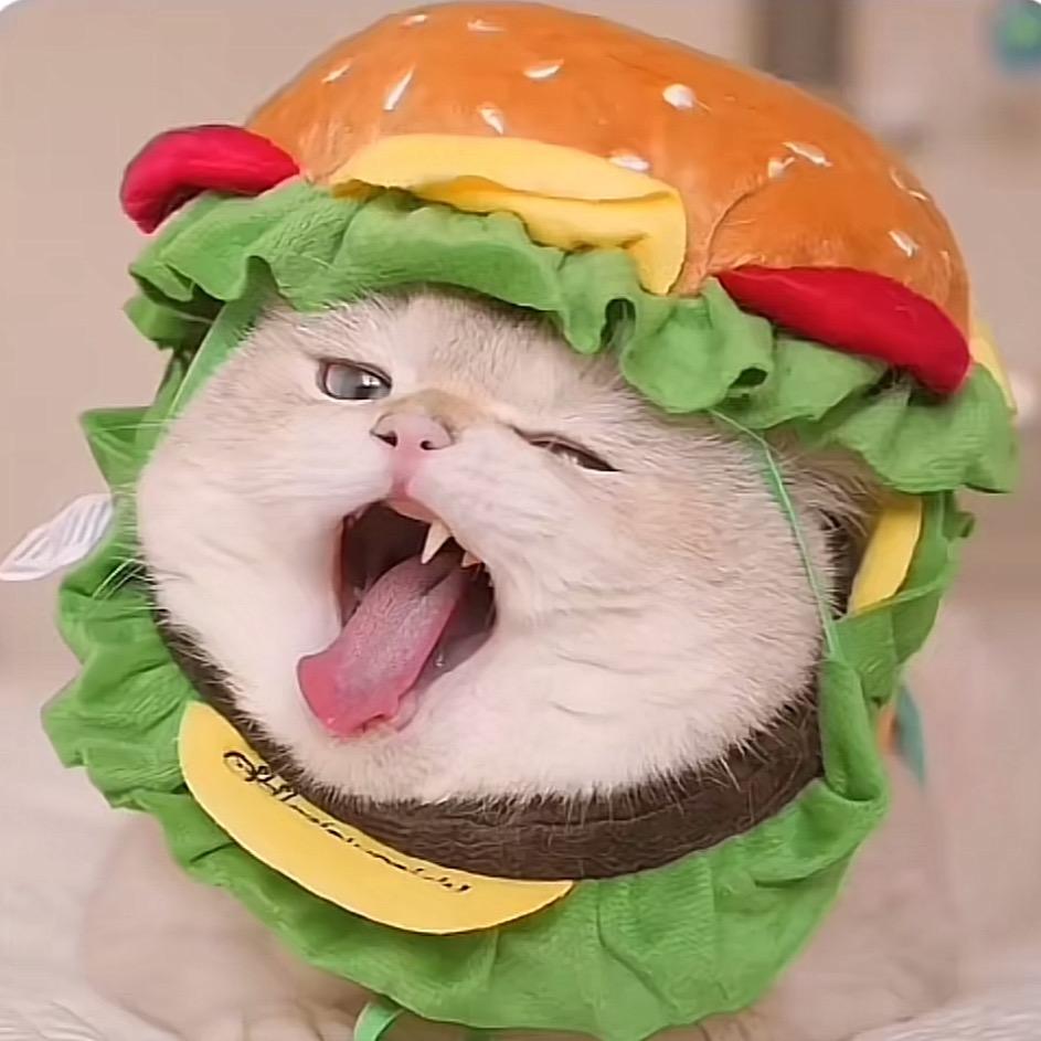 话莓棠