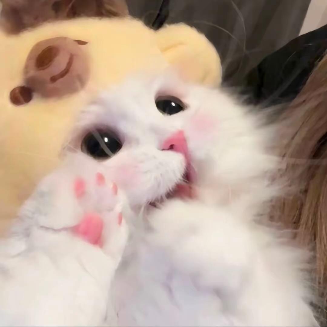 xɪᴀᴏ xɪɴ