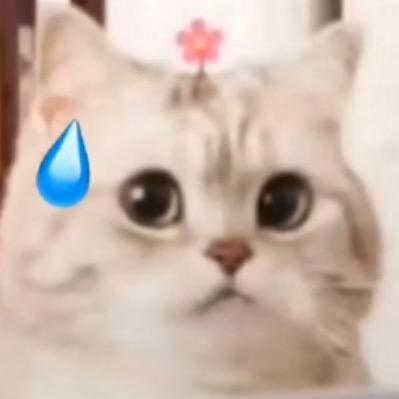 慧慧日记