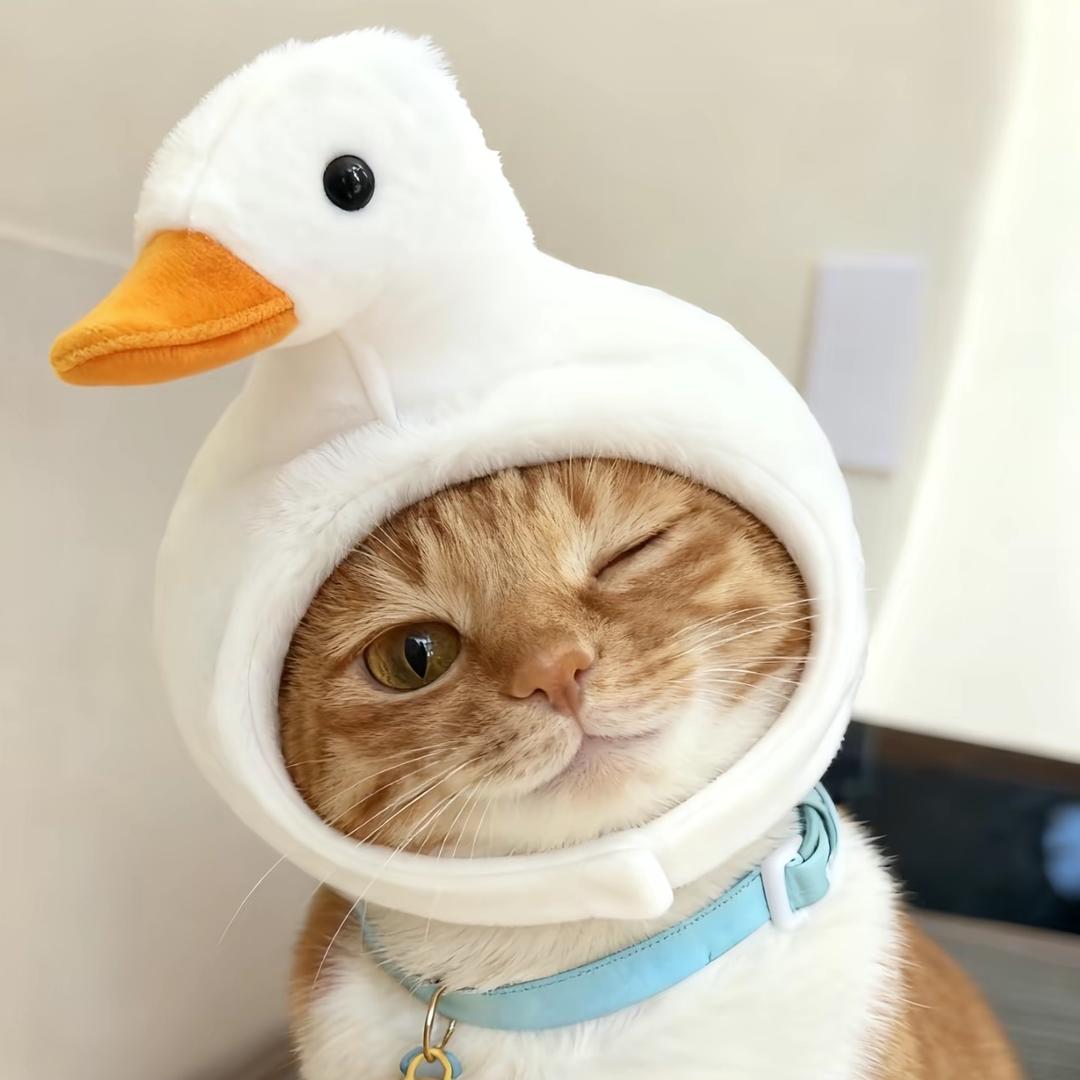 乾乾_