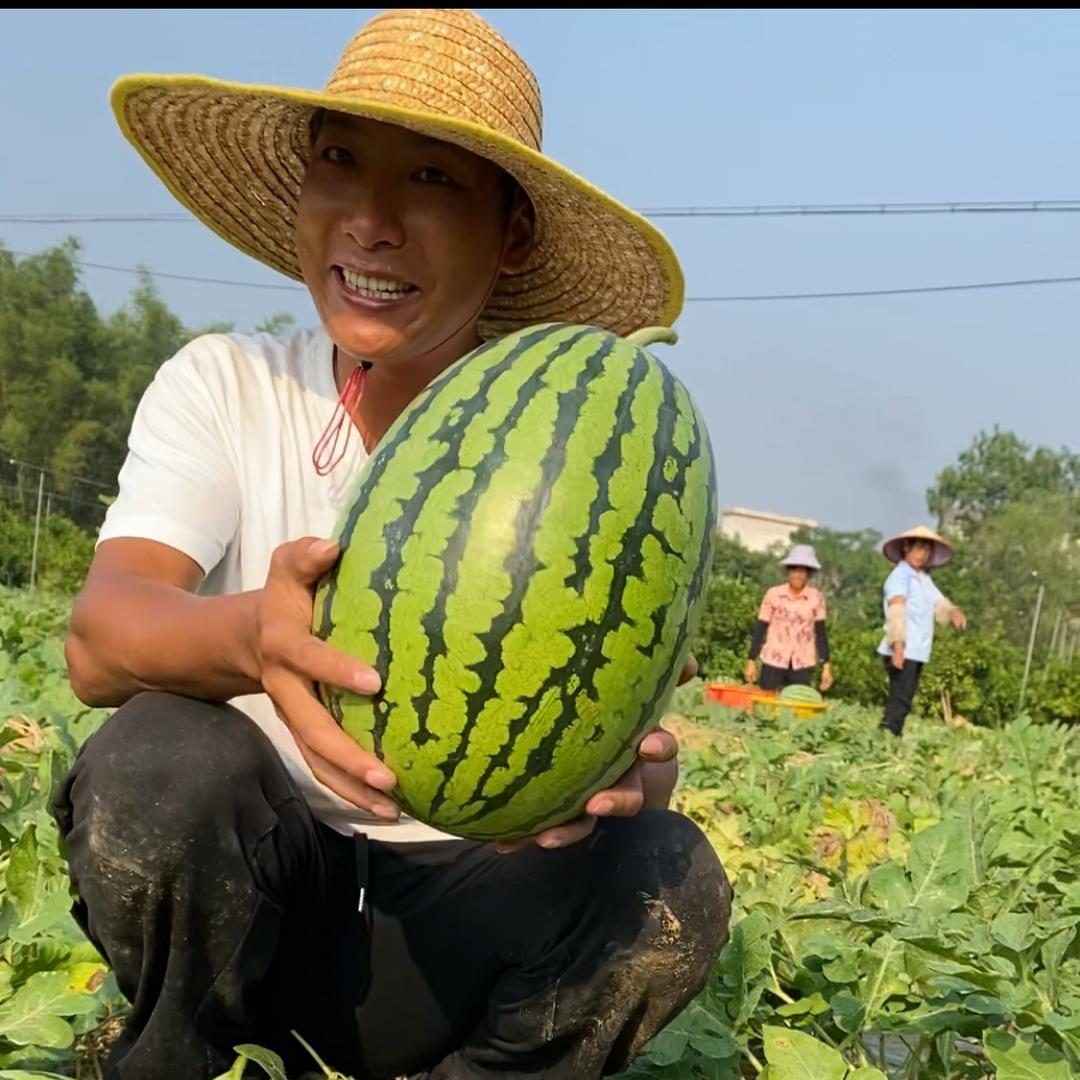 彭小虎的开心农场
