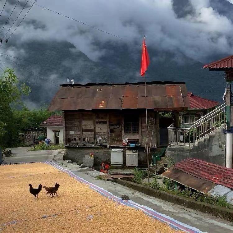 兵哥山货呀