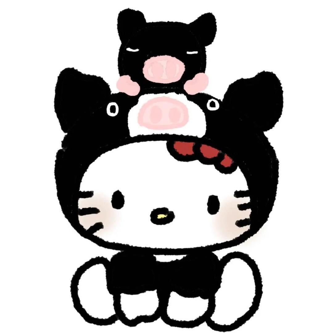 最可爱的Kitty🤍