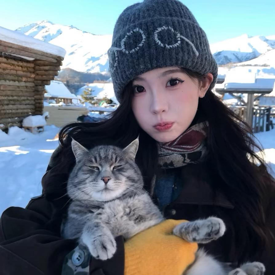 呆呆o