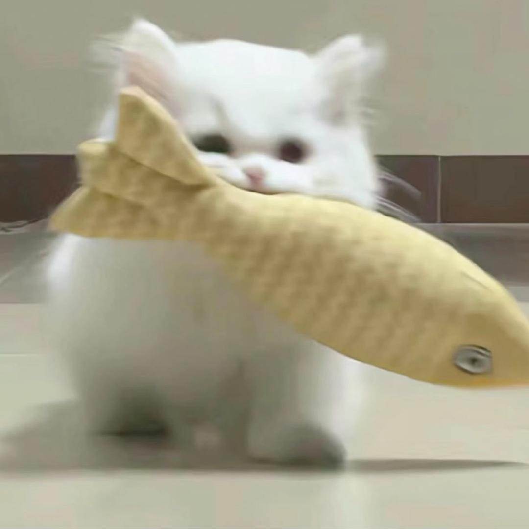 王靠谱