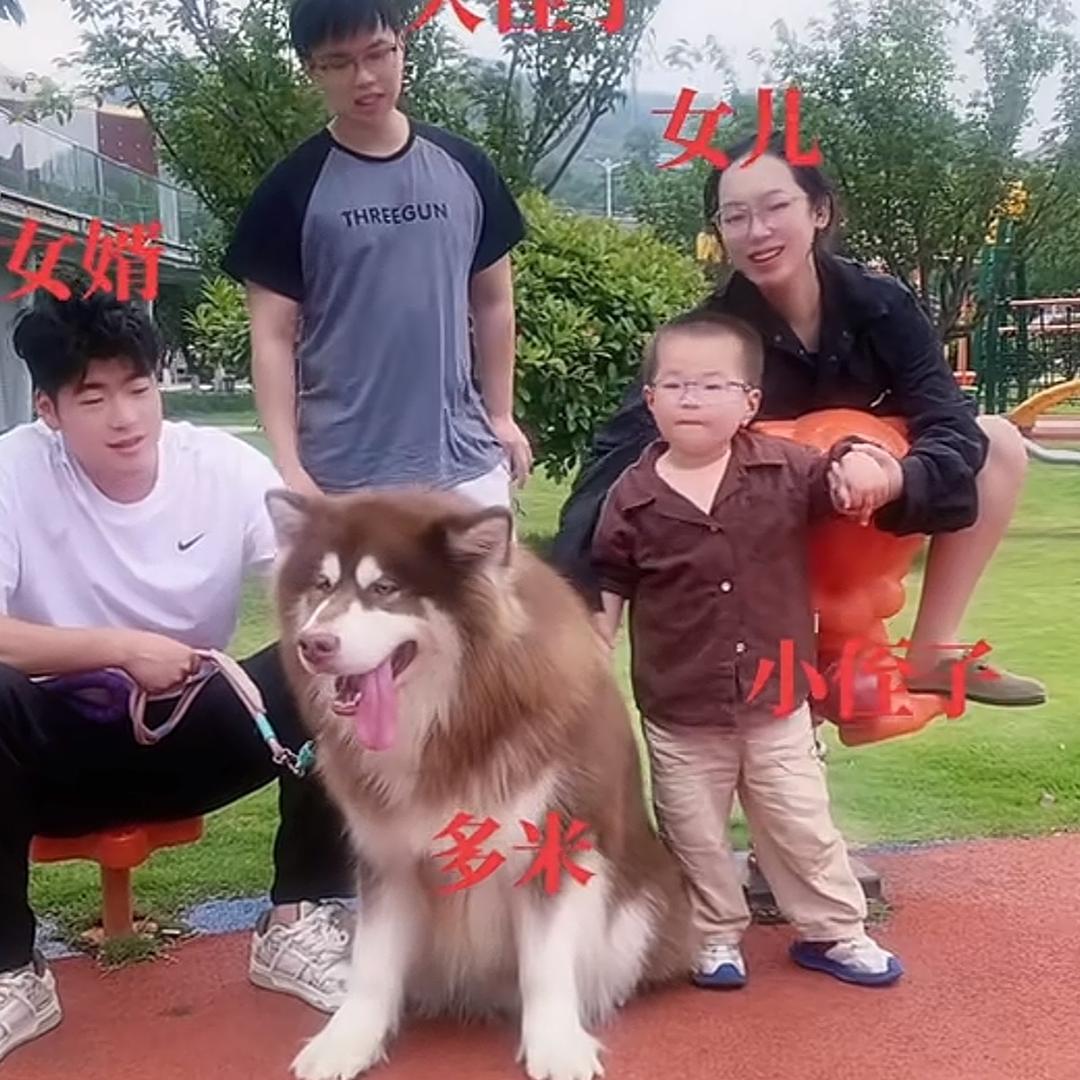 阳光明媚-