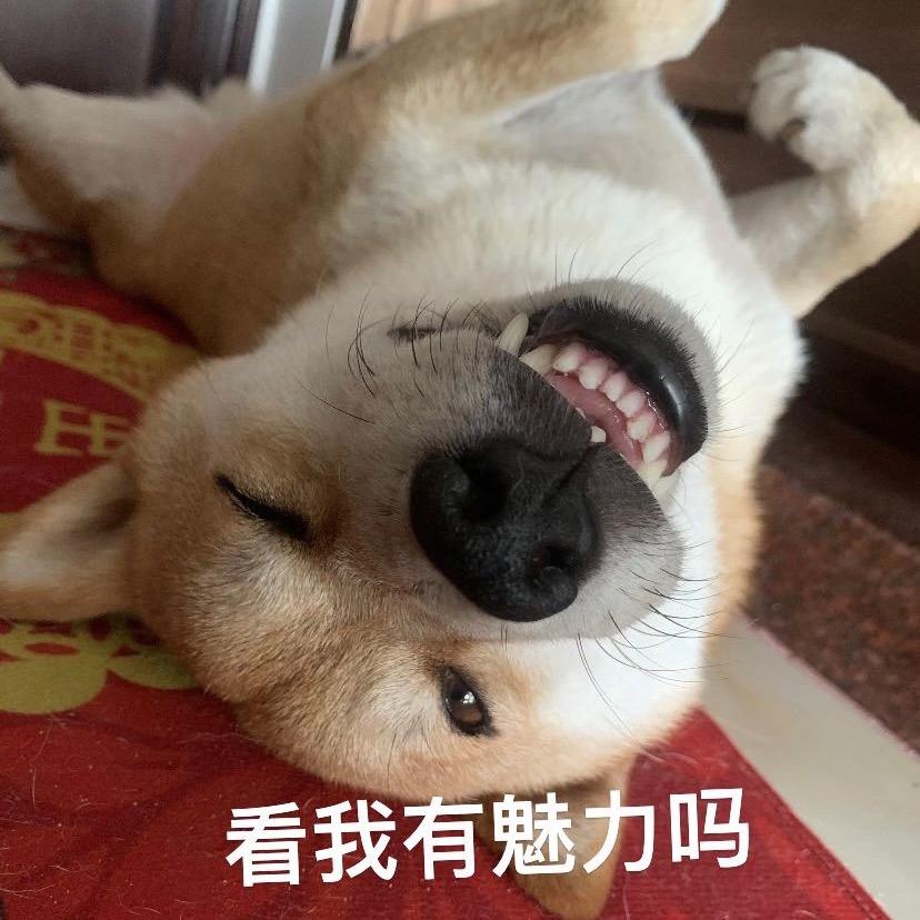 （吉富車行）阿東
