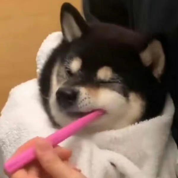 假期等我