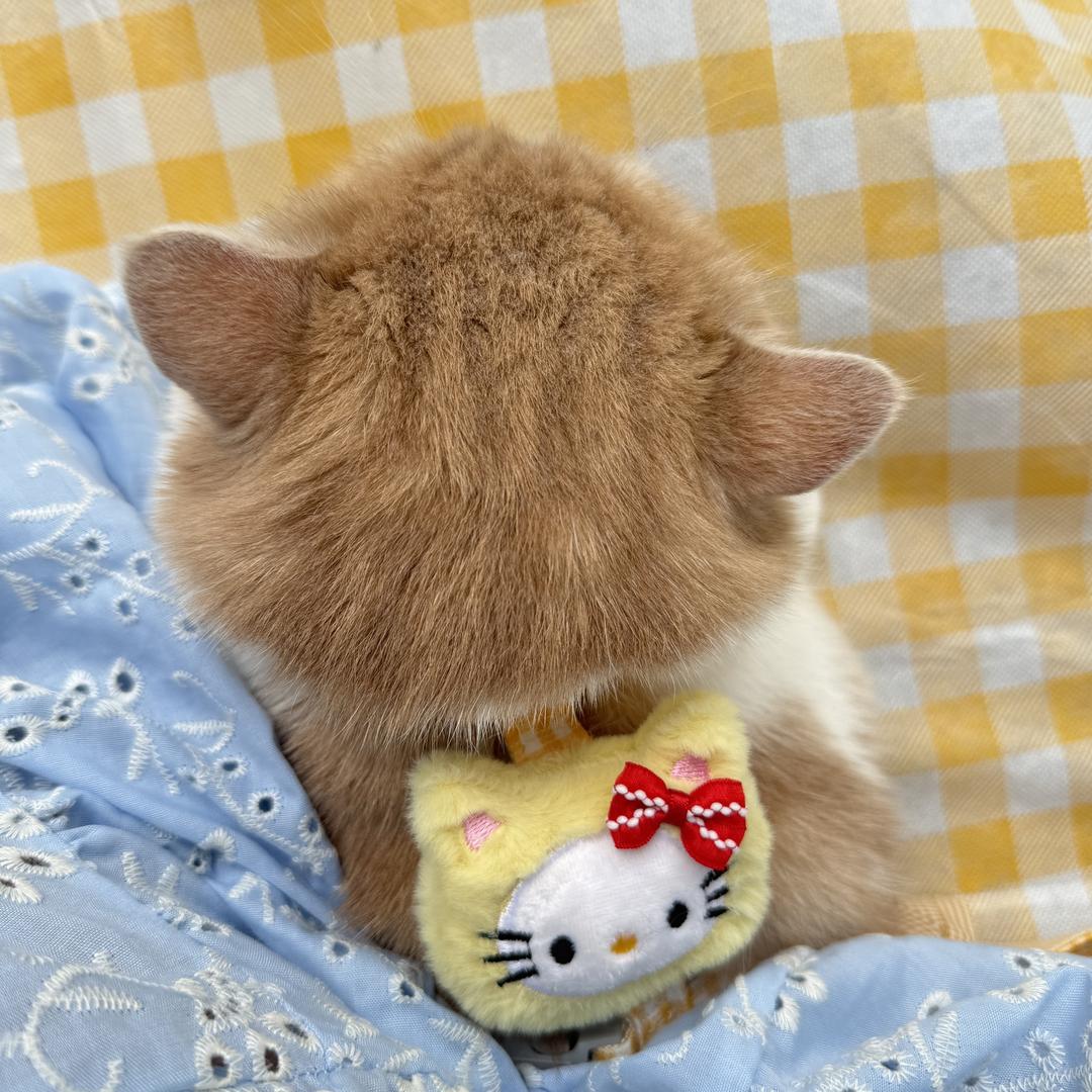 小蓉爱哭鬼