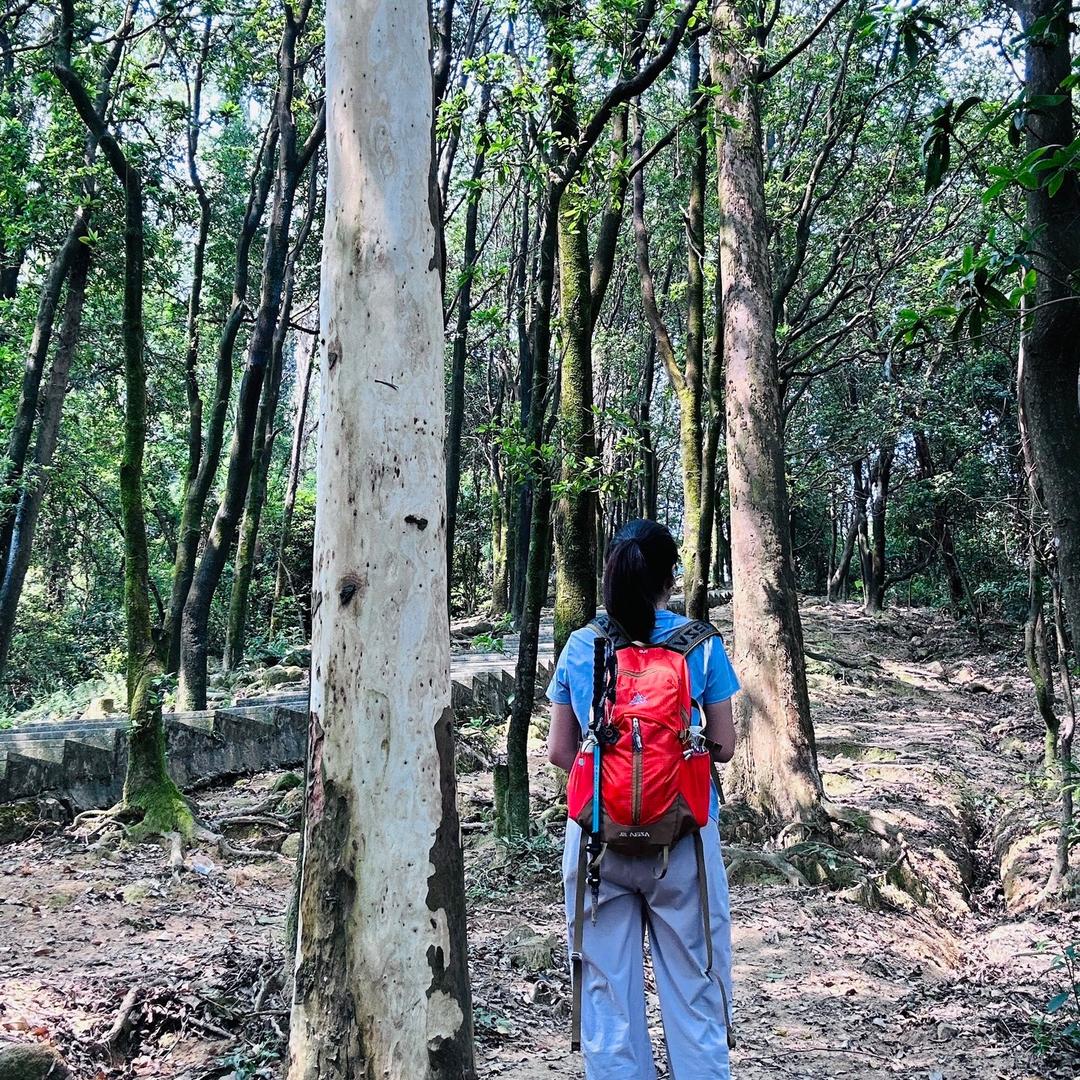 木子的修炼计划