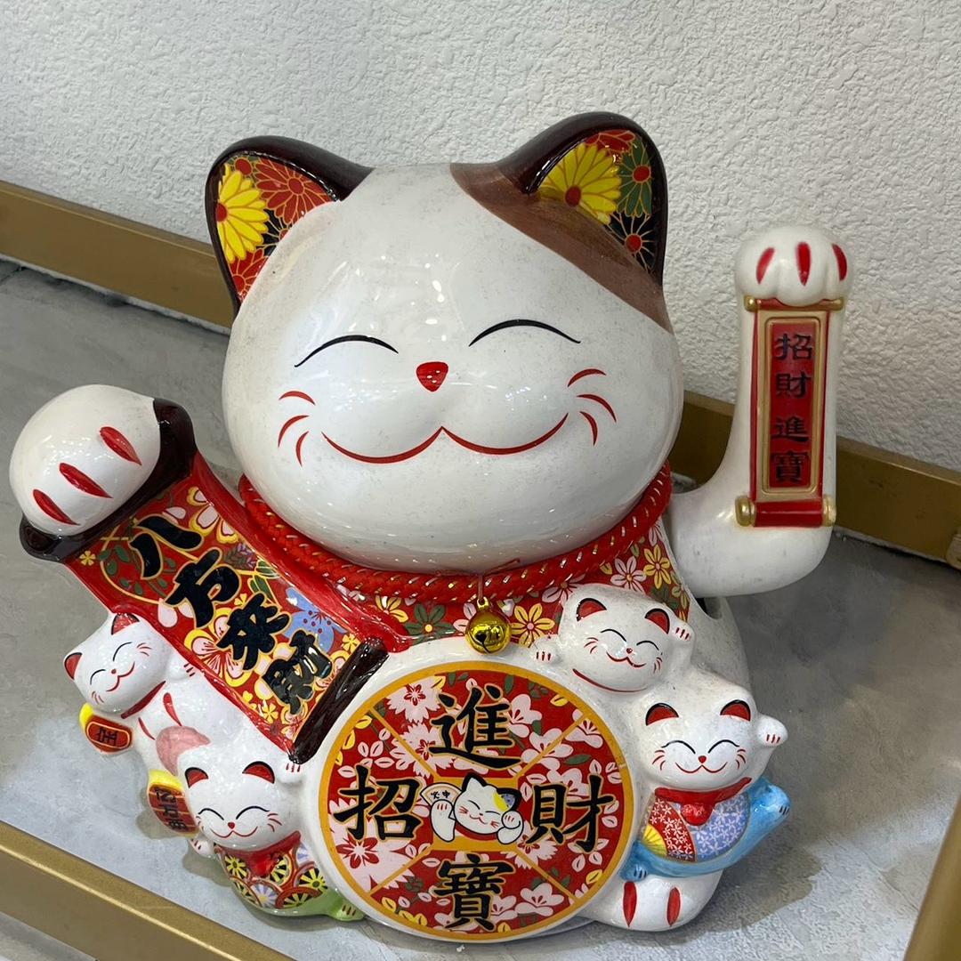 招财猫猫
