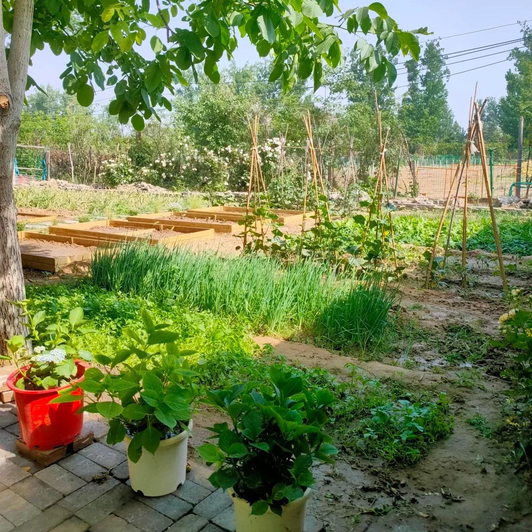 果树种植小户