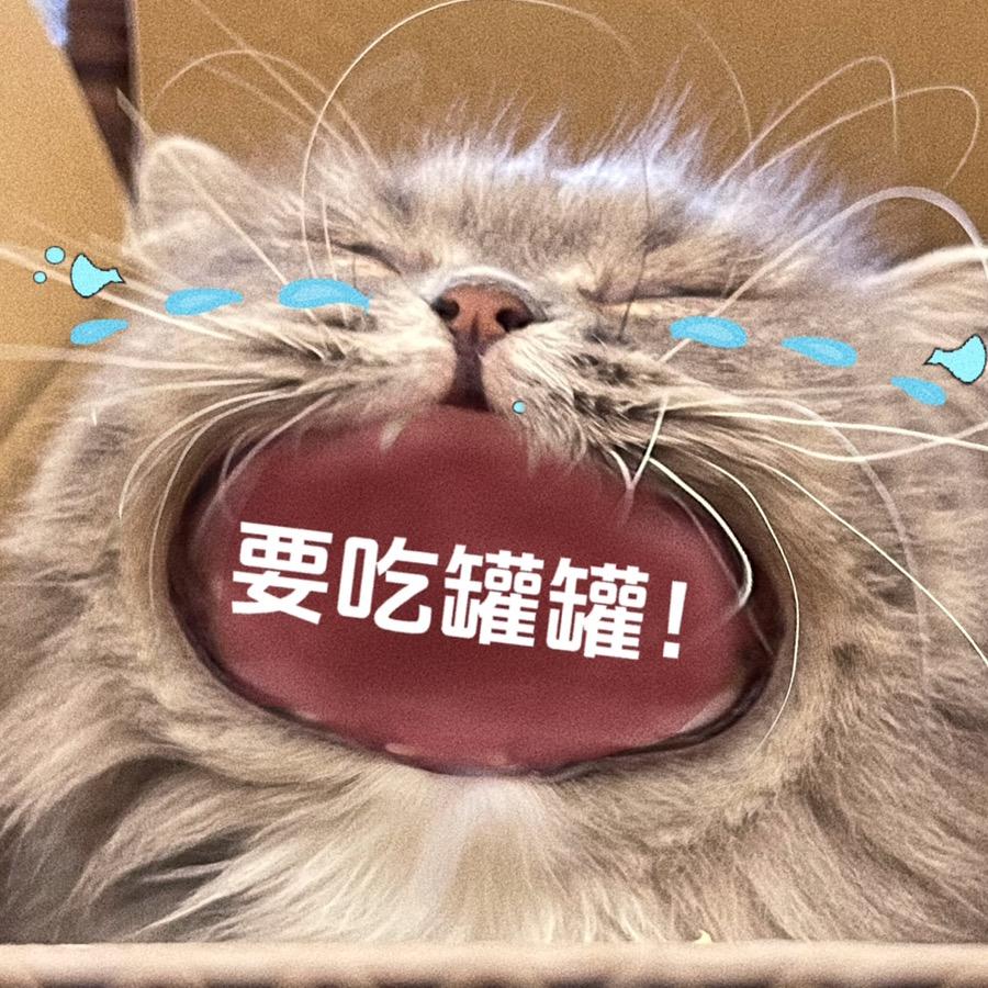 我就是喜欢睡觉咋了i