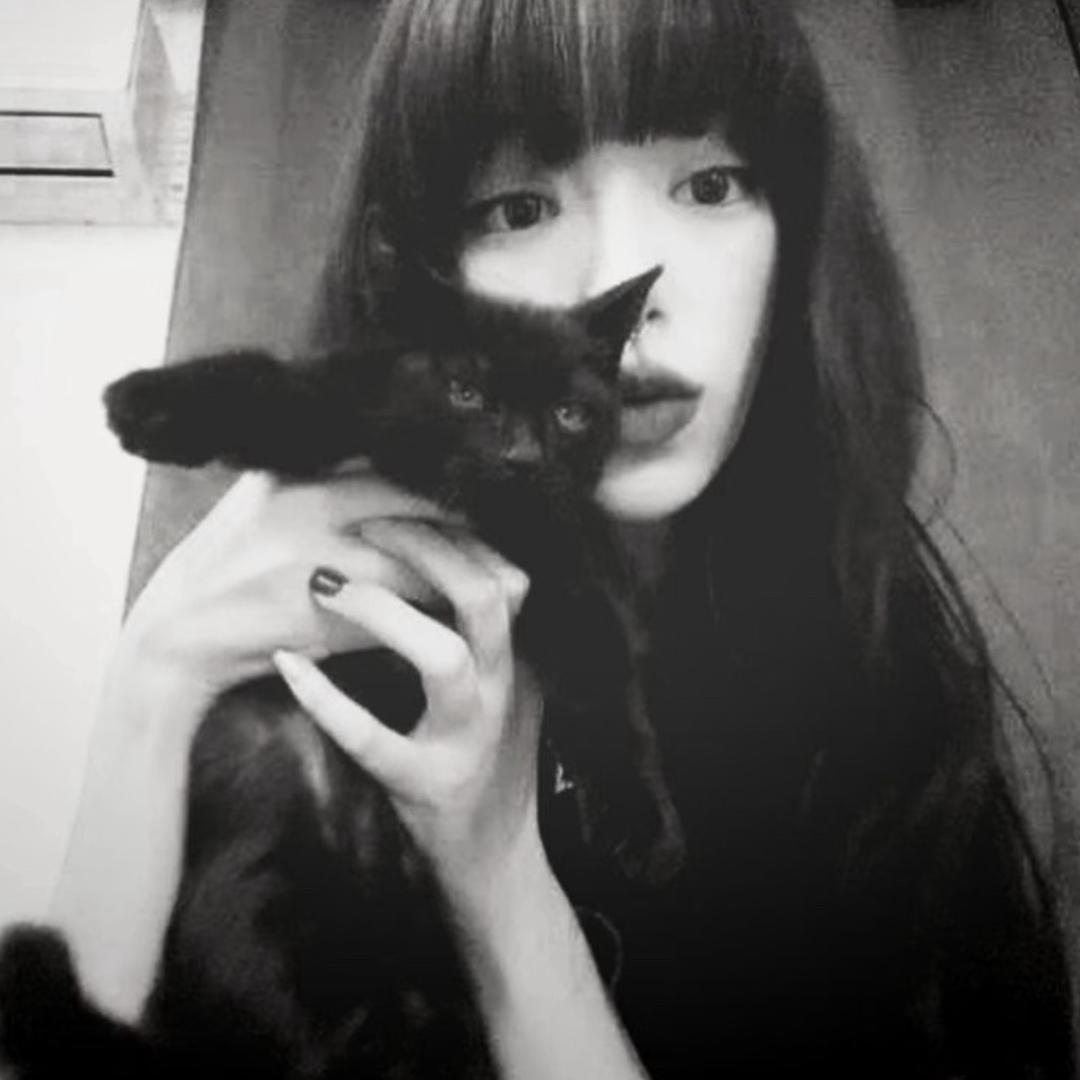 CHENHUI