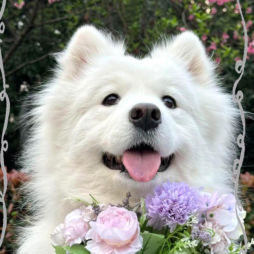 芽芽🌱