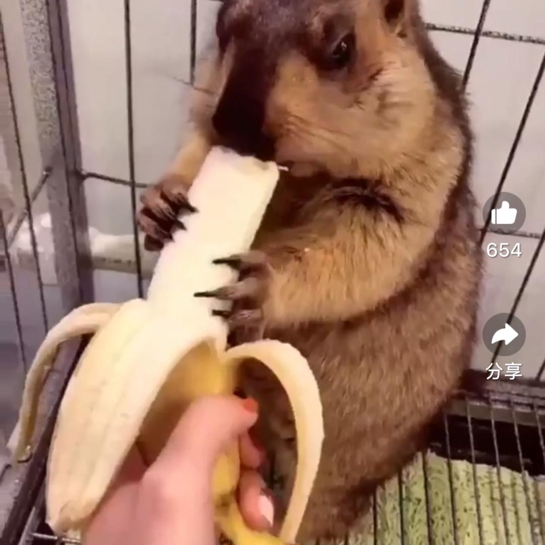 看你大坝