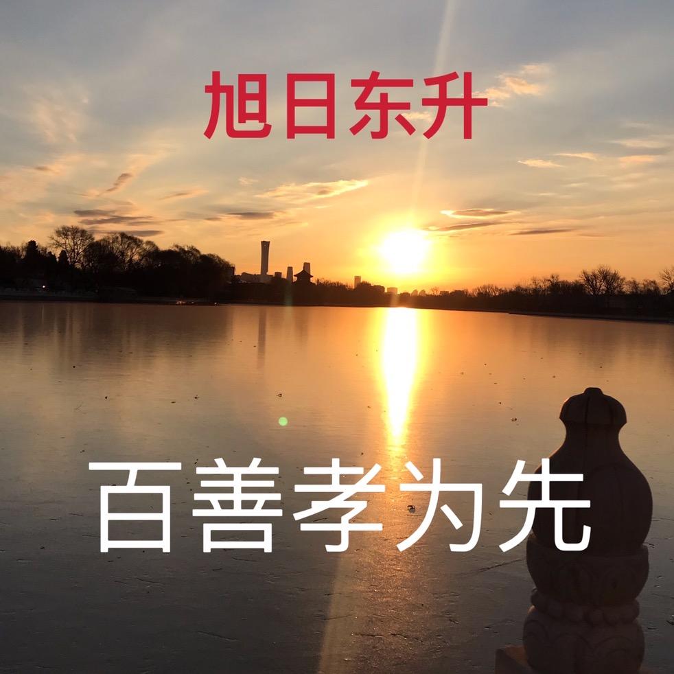 用户  博鑫车业