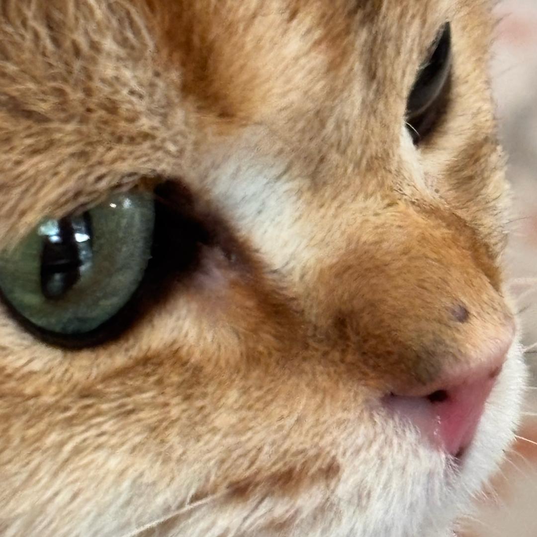 艾与爱