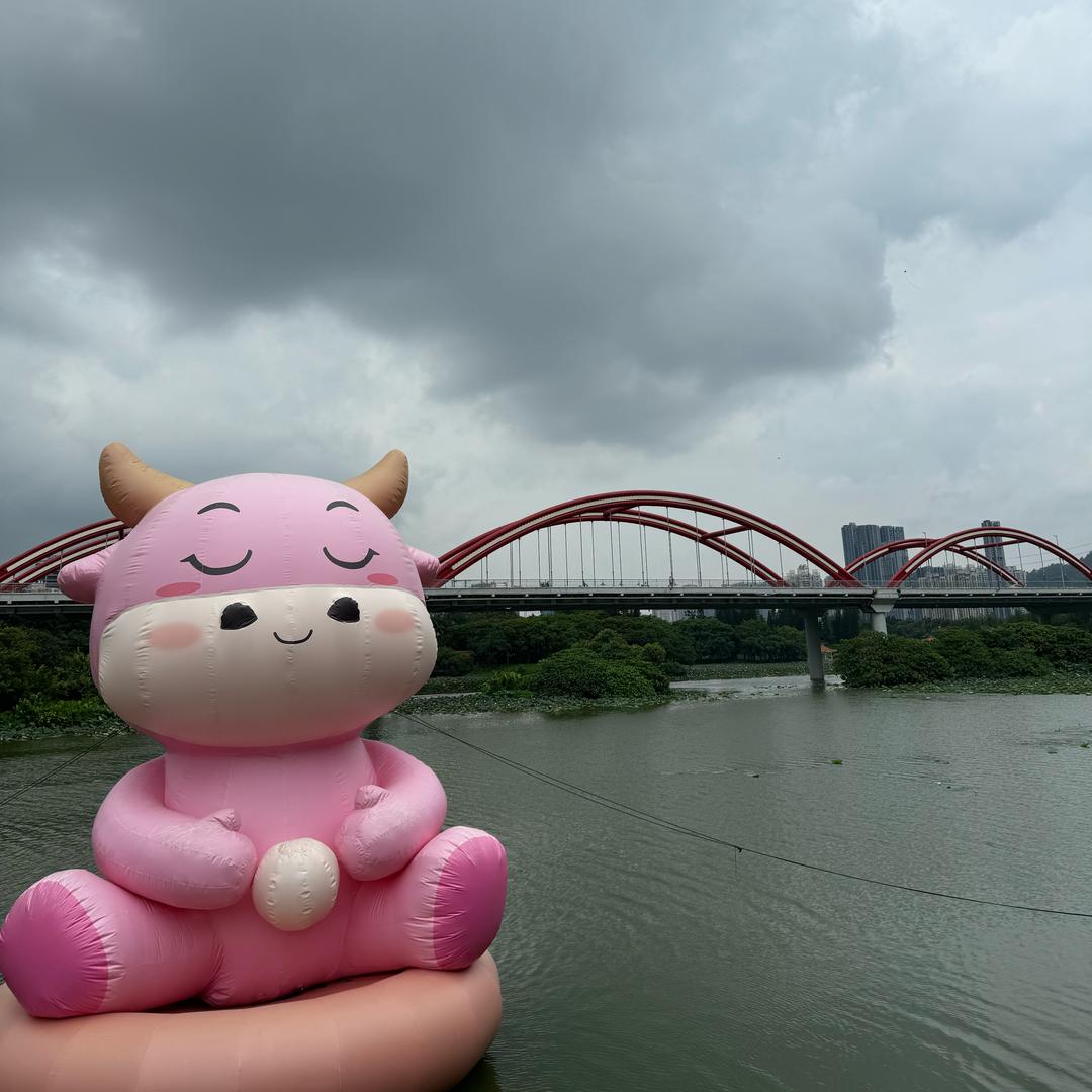 小波