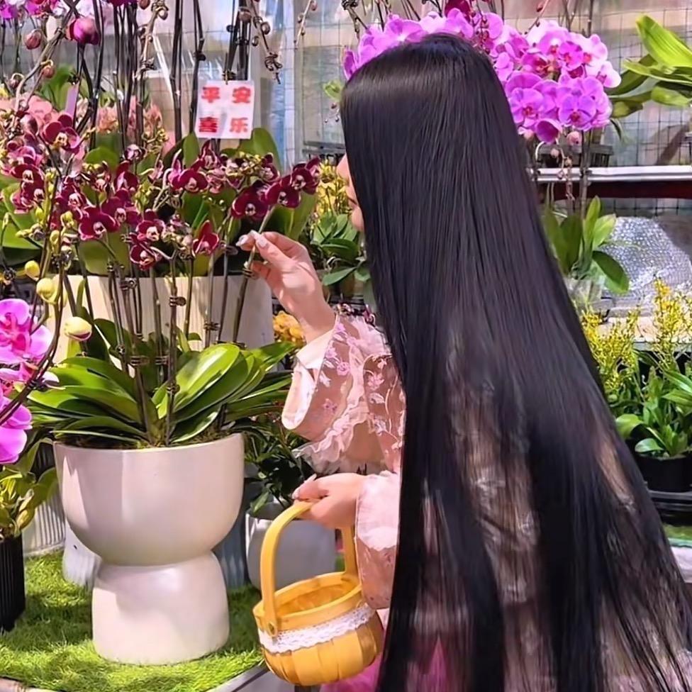 凌某人………………