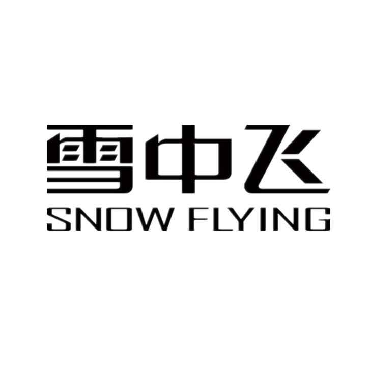 雪中飞亿新专卖店