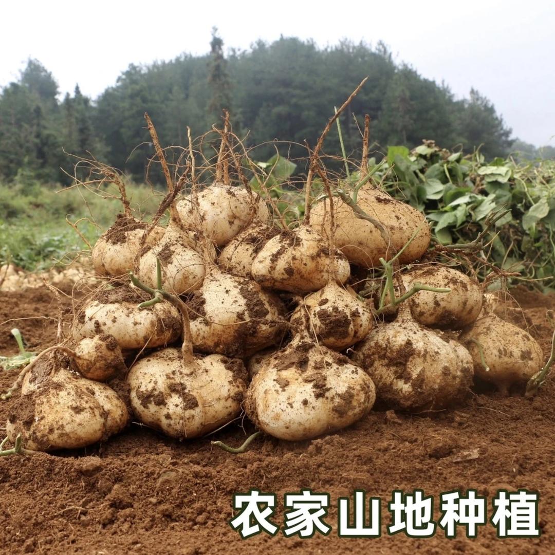 农佳蔬果
