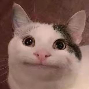 小柏要努力（登船版）