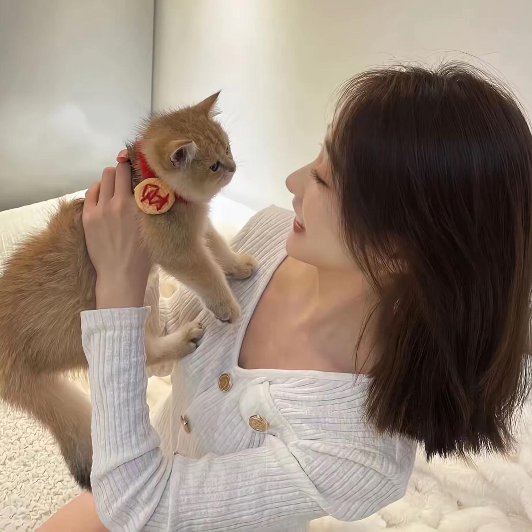 🍗