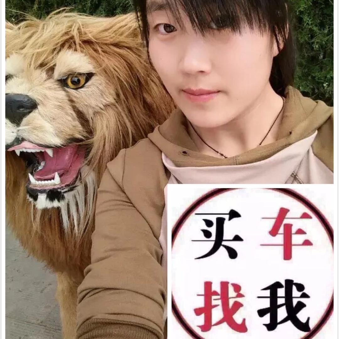 小贺汽车咨询 全品牌汽车