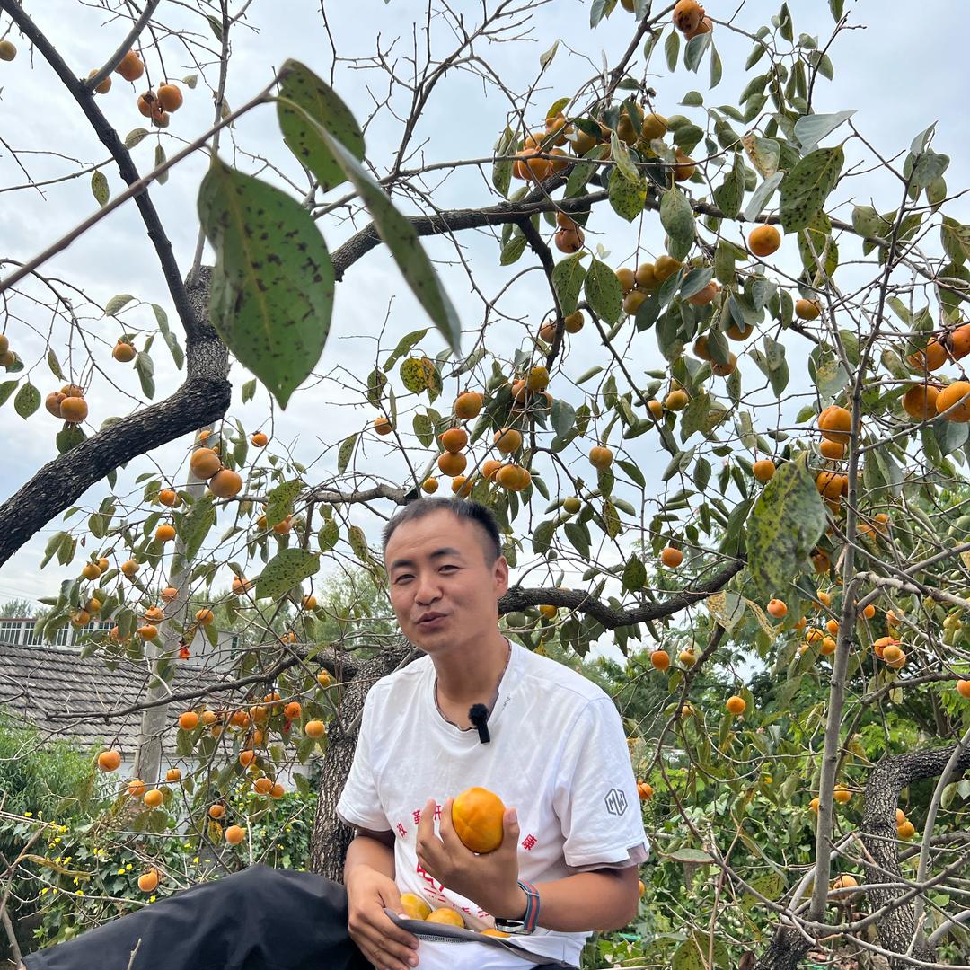 真果鲜水果农场