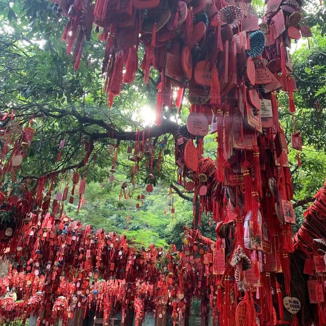 华华